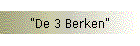 "De 3 Berken"